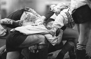 Le rugby féminin